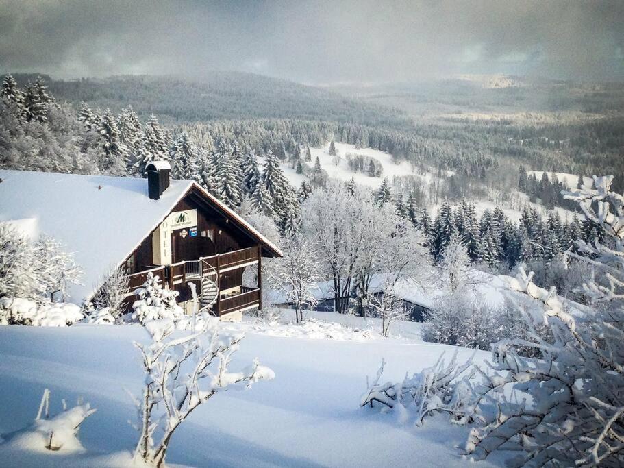 Apartment Bavaria Mitterfirmiansreut Luaran gambar